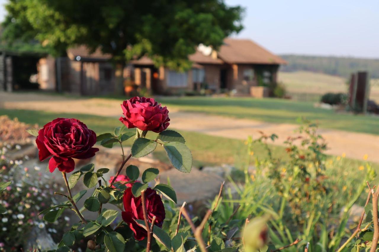 Rocks & Roses Farm Stay Lochiel Exterior photo