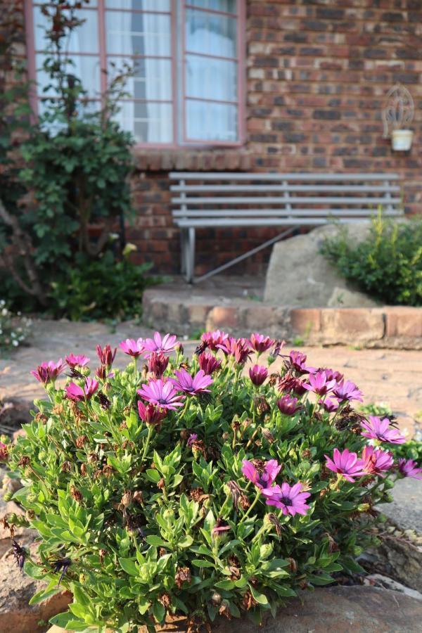 Rocks & Roses Farm Stay Lochiel Exterior photo